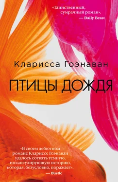 Кларисса Гоэнаван Птицы дождя обложка книги