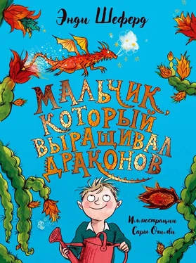 Энди Шеферд Мальчик, который выращивал драконов обложка книги