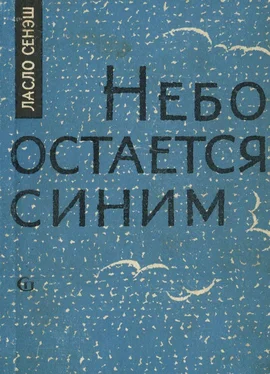 Ласло Сенэш Небо остается синим обложка книги