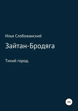 Илья Слобожанский Зайтан-Бродяга обложка книги