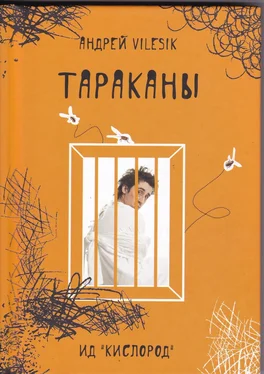 Андрей Vilesik Тараканы обложка книги