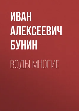 Иван Бунин Воды многие обложка книги