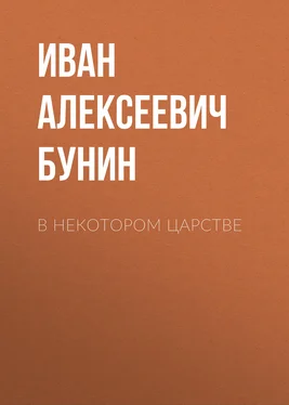 Иван Бунин В некотором царстве обложка книги