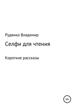 Владимир Руденко Селфи для чтения обложка книги