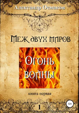 Александр Осмаков Меж двух миров 1: Огонь войны обложка книги