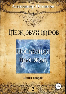 Александр Осмаков Меж двух миров 2: Последняя надежда обложка книги