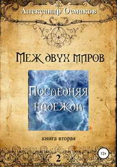 Александр Осмаков - Меж двух миров 2 - Последняя надежда