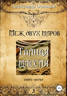 Александр Осмаков Меж двух миров 3: Тайная миссия обложка книги