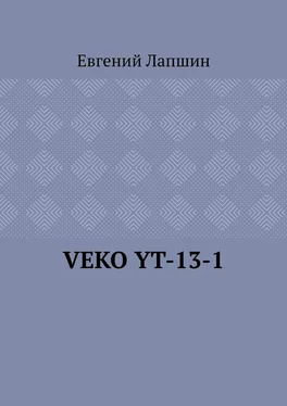 Евгений Лапшин VEKO YT-13-1 обложка книги