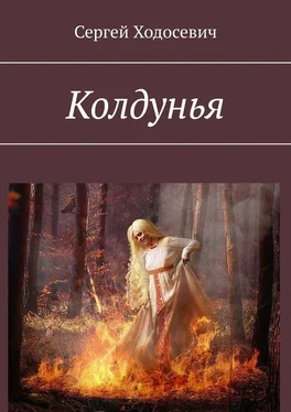 Сергей Ходосевич Колдунья обложка книги