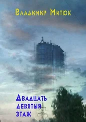 Владимир Митюк - Двадцать девятый этаж