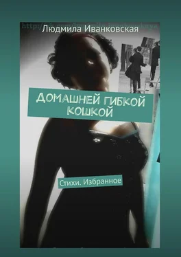 Людмила Иванковская Домашней гибкой кошкой. Стихи. Избранное обложка книги