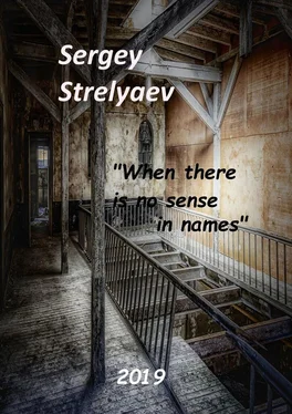 Sergey Strelyaev When there is no sense in names обложка книги