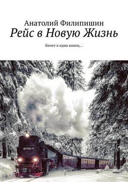 Анатолий Филипишин Рейс в Новую Жизнь. Билет в один конец… обложка книги