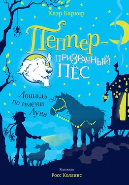 Клэр Баркер Лошадь по имени Луна обложка книги