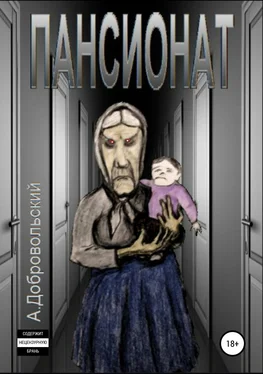 Артем Добровольский Пансионат обложка книги