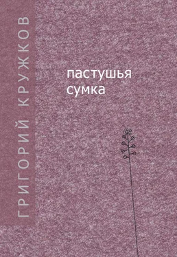 Григорий Кружков Пастушья сумка (сборник) обложка книги