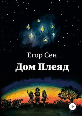 Егор Сен Дом Плеяд обложка книги