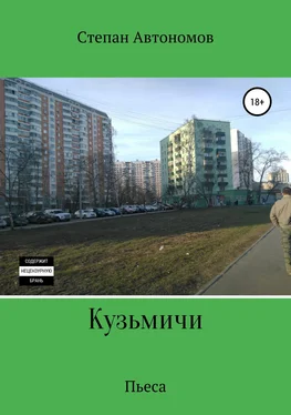 Степан Автономов Кузьмичи обложка книги