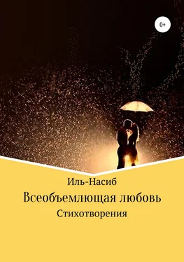 Иль-Насиб Всеобъемлющая любовь обложка книги