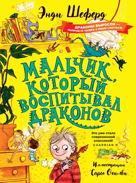 Энди Шеферд Мальчик, который воспитывал драконов обложка книги