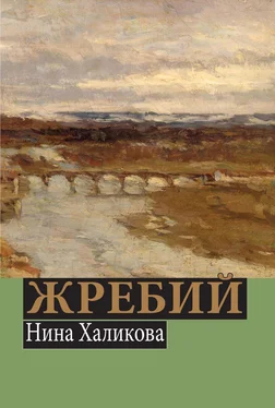 Нина Халикова Жребий обложка книги