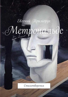 Евгений Триморук Метрональдс. Стихотворения обложка книги