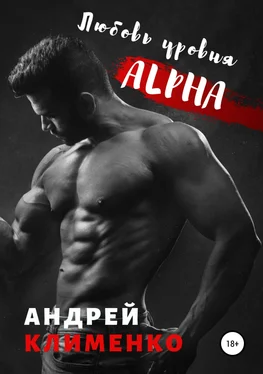 Андрей Клименко Любовь уровня ALPHA обложка книги