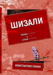 Константин Ганин - Шизали