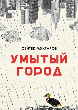 Сейтек Мухтаров Умытый город обложка книги