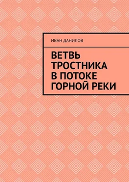 Иван Данилов Ветвь тростника в потоке горной реки обложка книги