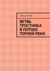 Иван Данилов - Ветвь тростника в потоке горной реки