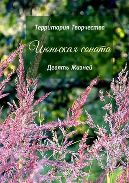 Валентина Спирина Июньская соната. Девять Жизней обложка книги