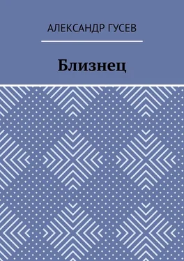 Александр Гусев Близнец обложка книги