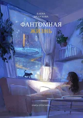 Елена Шелухова - Фантомная жизнь. Учись отпускать…