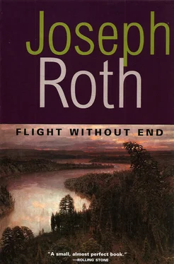 Joseph Roth Flight Without End обложка книги