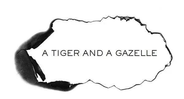 THE SEA IS HIGH AND GREEN during the day and black with flashes of white at - фото 7