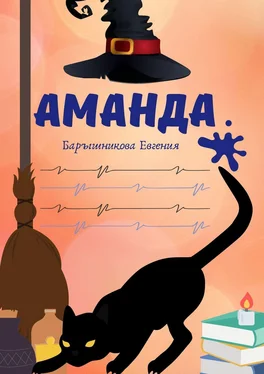 Евгения Барышникова Аманда обложка книги
