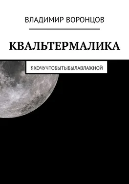 Владимир Воронцов КВАЛЬТЕРМАЛИКА обложка книги