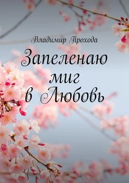 Владимир Прохода Запеленаю миг в Любовь обложка книги