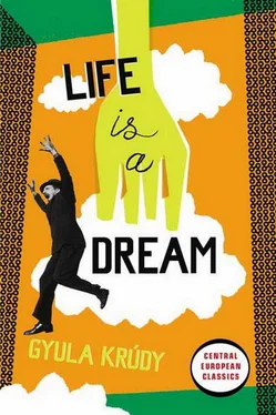 Gyula Krúdy Life Is A Dream обложка книги