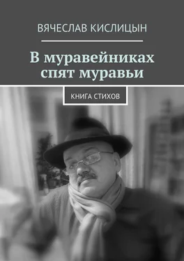 Вячеслав Кислицын В муравейниках спят муравьи. Книга стихов обложка книги