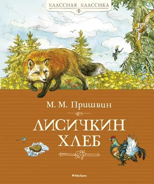 Михаил Пришвин Лисичкин хлеб (сборник) обложка книги