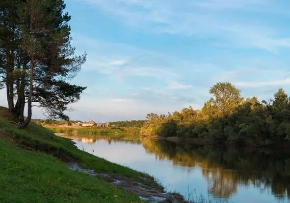 Река Туй Тевризский район Омская область И быстро время пролетело Жалко Ну - фото 8
