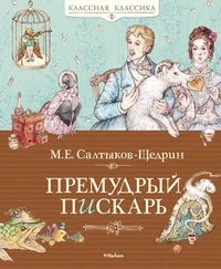 Михаил Салтыков-Щедрин - Премудрый пискарь (сборник)