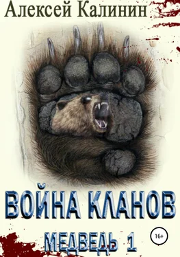 Алексей Калинин Война Кланов. Медведь 1 обложка книги
