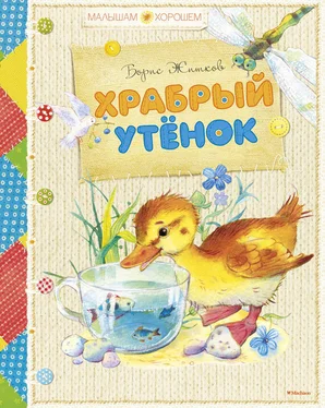 Борис Житков Храбрый утенок (сборник) обложка книги