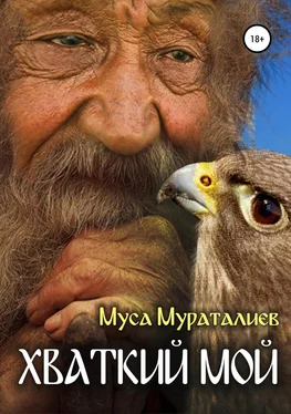Муса Мураталиев Хваткий мой обложка книги