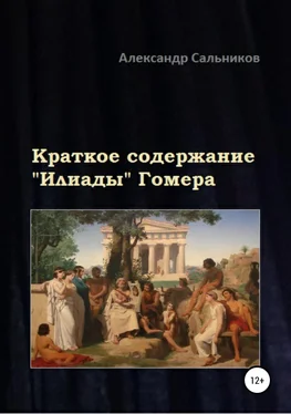 Александр Сальников Краткое содержание «Илиады» Гомера обложка книги