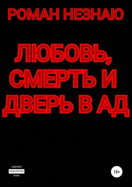 РОМАН НЕЗНАЮ Любовь, смерть и дверь в Ад обложка книги